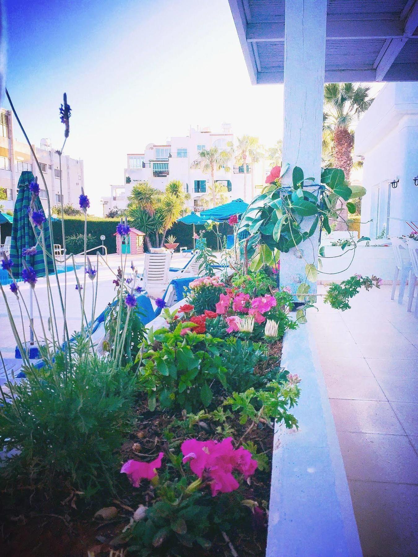 Blue Crane Hotel Apts Limassol Exterior photo